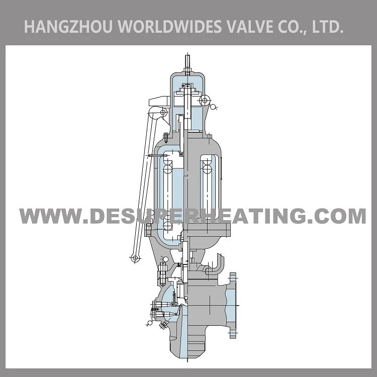High Pressure Steam Boiler Safety Valve